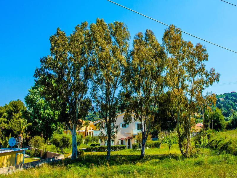 Aloni Studios And Apartments Lassi  Luaran gambar