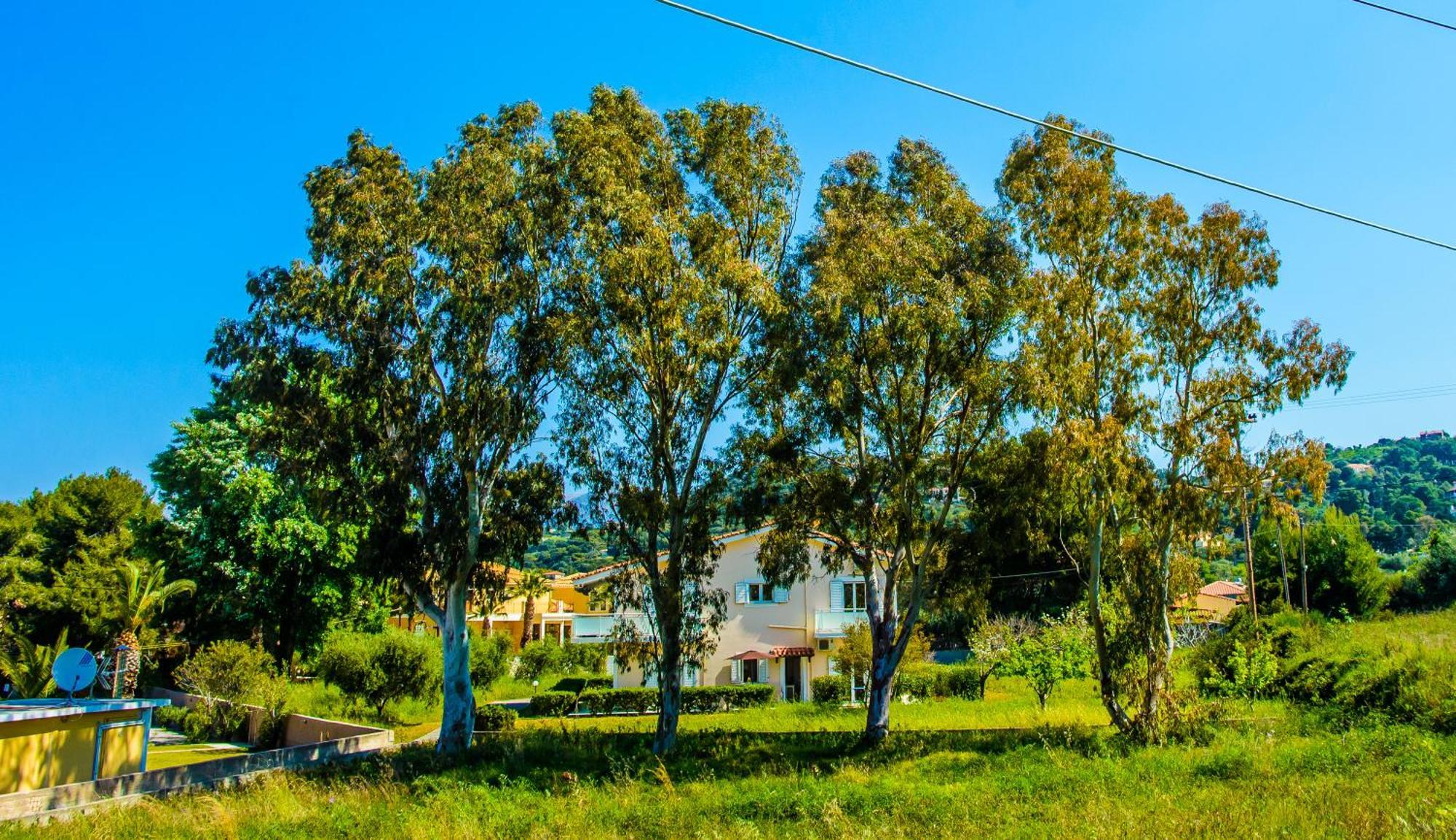 Aloni Studios And Apartments Lassi  Luaran gambar